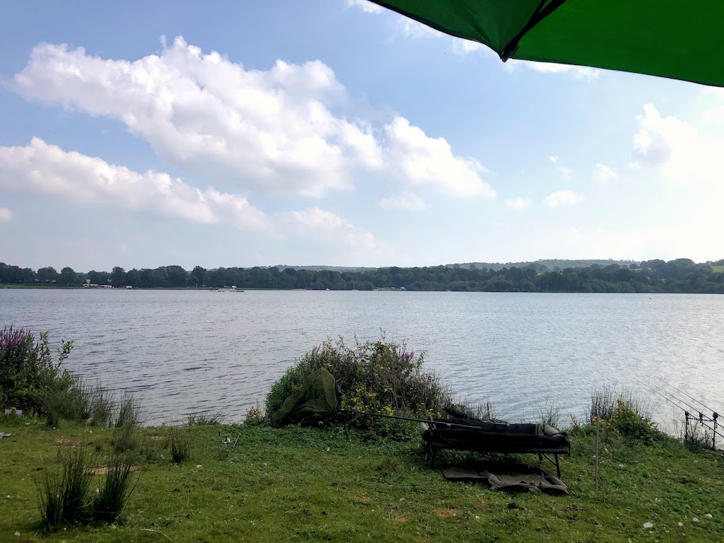 placeholder image-wide