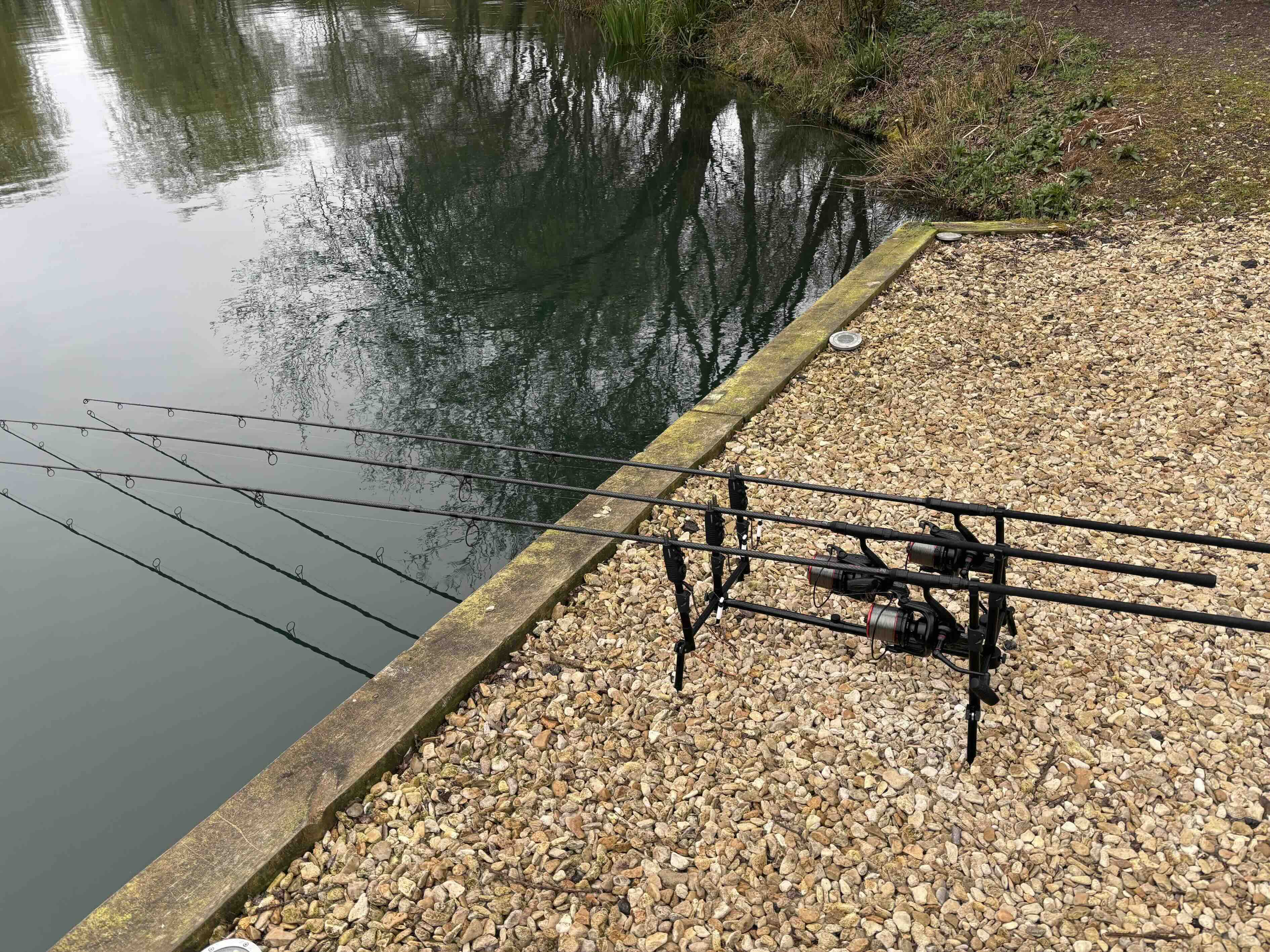 Snag_Fish
